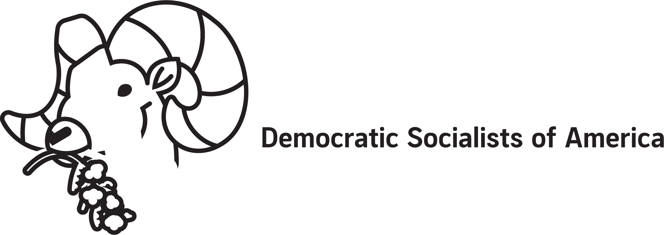 Northern Nevada DSA logo